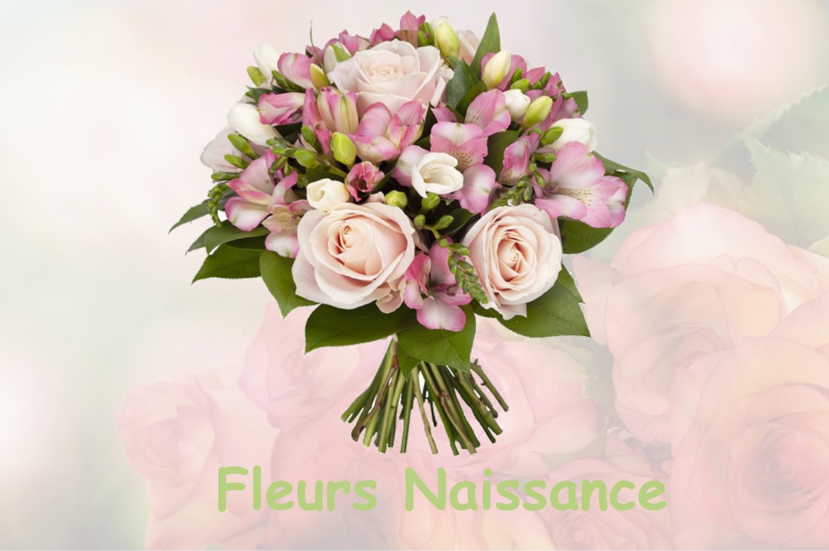 fleurs naissance LA-MAILLERAYE-SUR-SEINE
